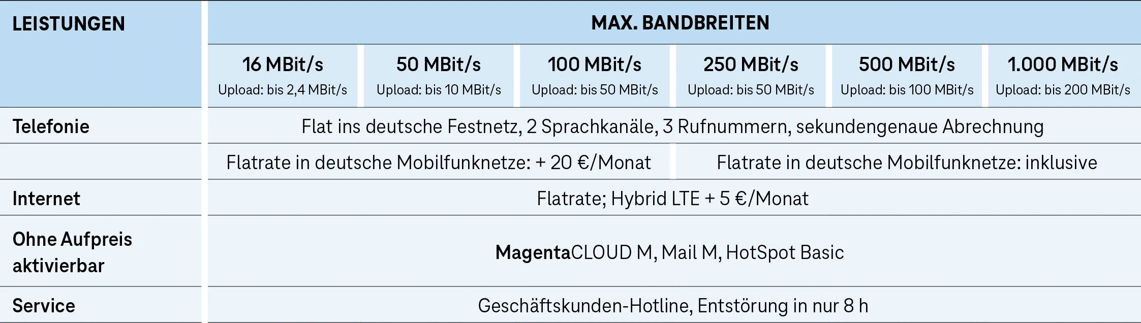 Tabelle mit DSL-Tarifen und maximalen Bandbreiten, Telefonie und Service.