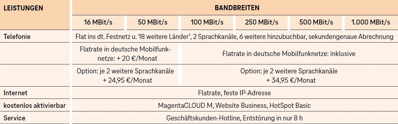 Tabelle mit Internet-Bandbreiten 16 bis 1000 MBit/s und Telefonie-Optionen